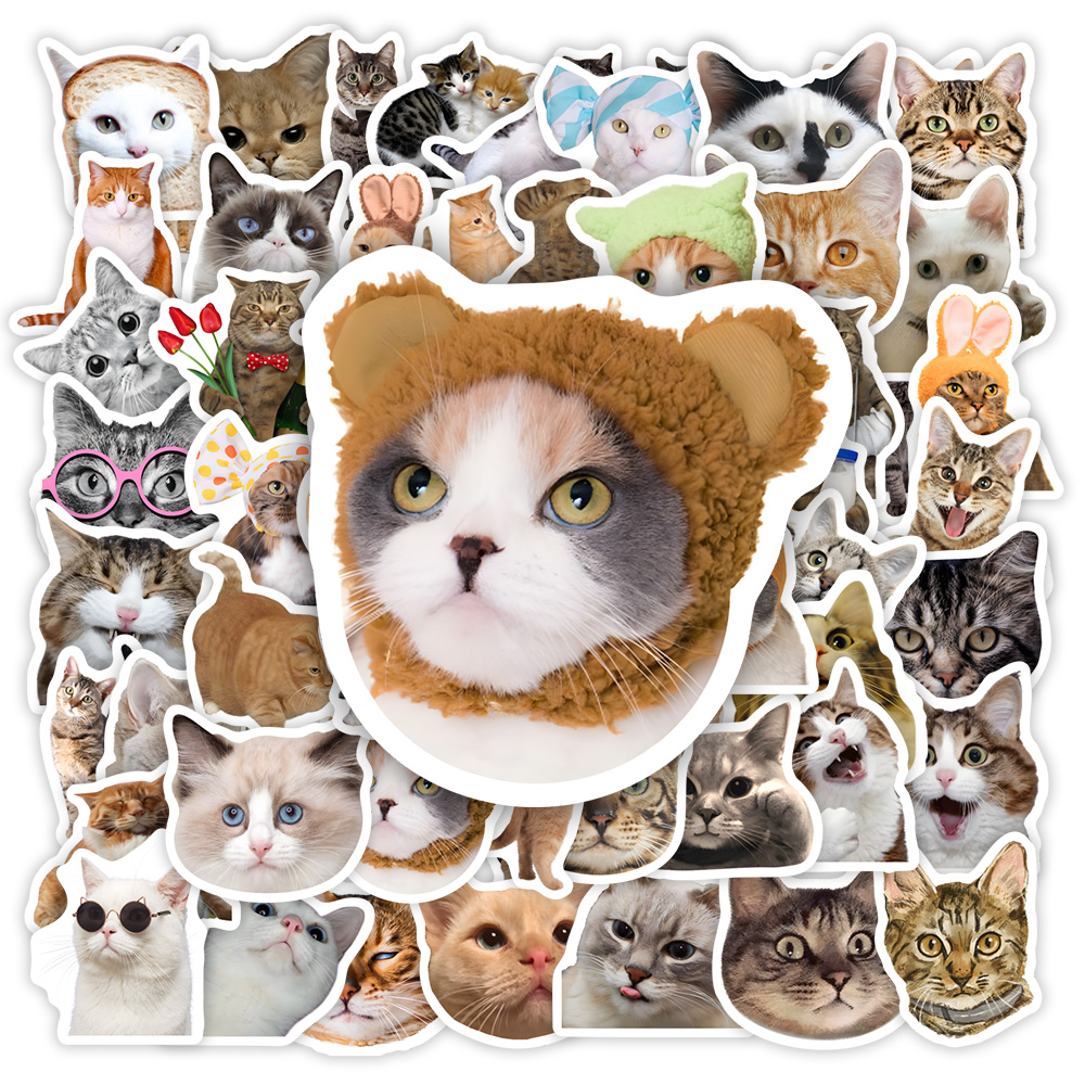 Funny Cat Clipart Stickers Kid - Kids Toys Clipart บทวิจารณ์และราคา