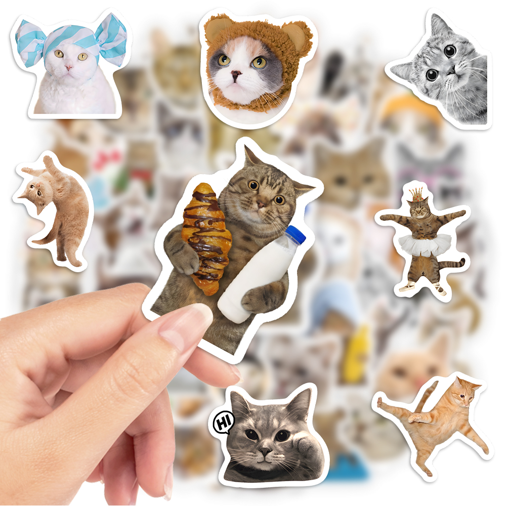 Funny Cat Clipart Stickers Kid - Kids Toys Clipart บทวิจารณ์และราคา
