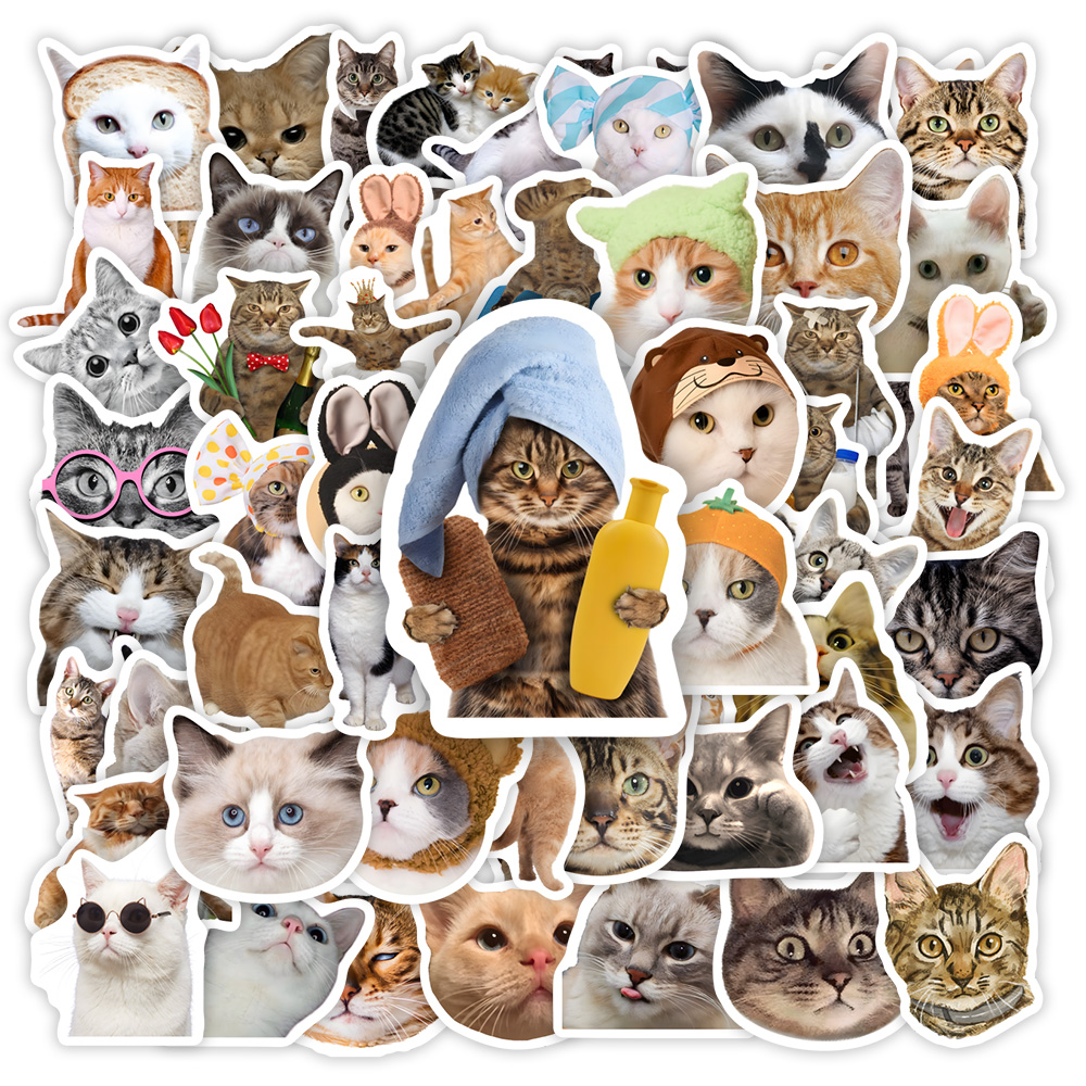 Cute Funny Cat Clipart Sticker - Kids Toys Clipart บทวิจารณ์และราคา
