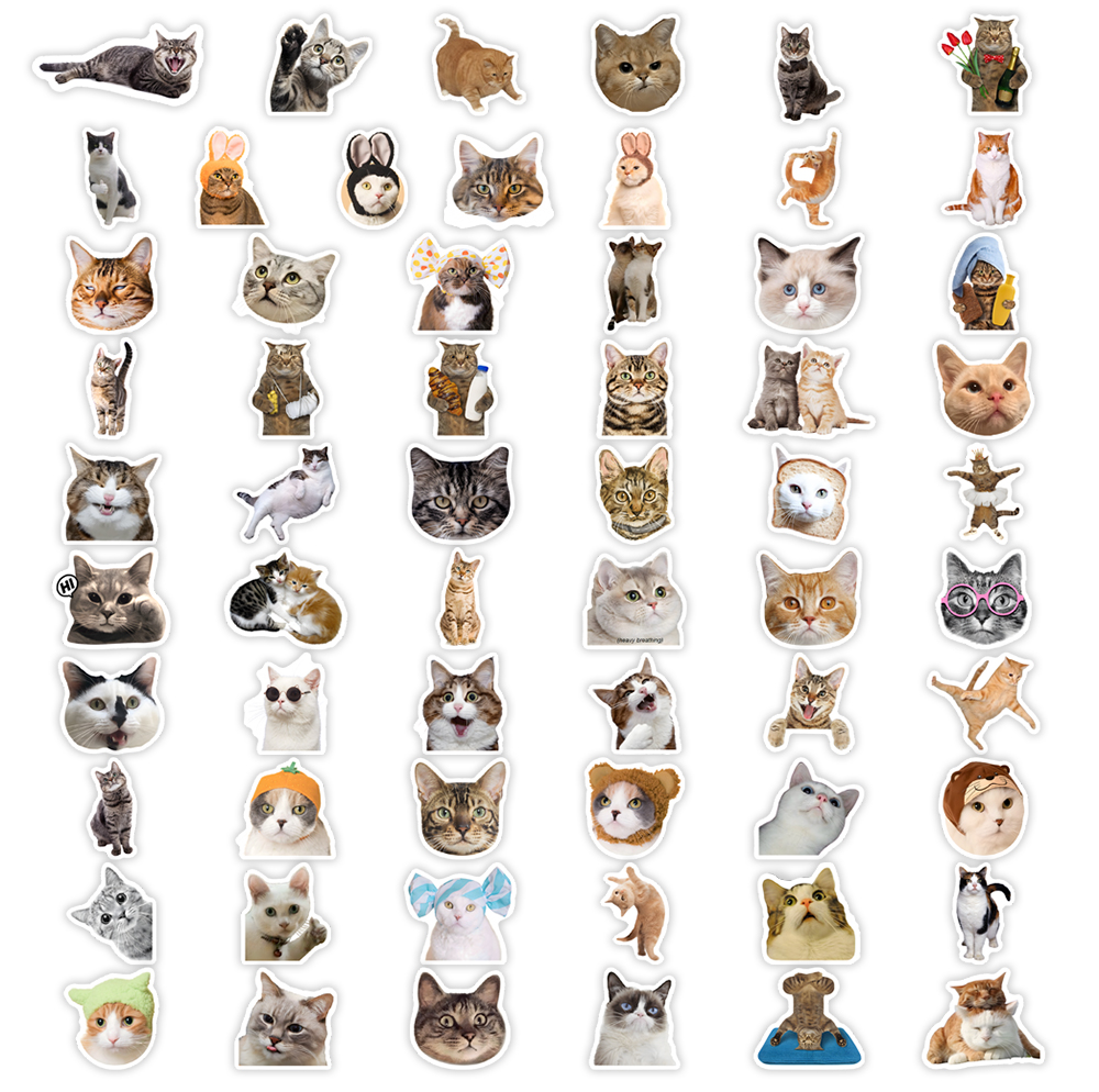 Cute Funny Cat Clipart Sticker - Kids Toys Clipart บทวิจารณ์และราคา